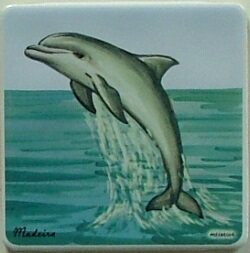 Azulejo decorado Golfinho 10x10cm