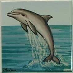 Azulejo decorado Golfinho 15X15 cm